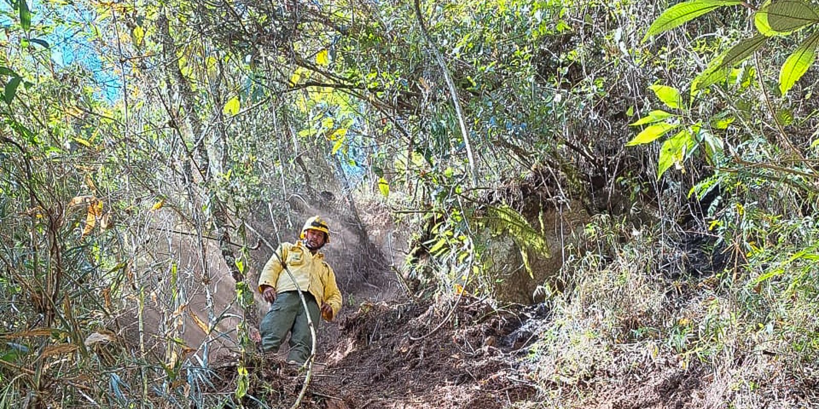 Após oito dias, incêndio no Parque Nacional do Itatiaia é extinto