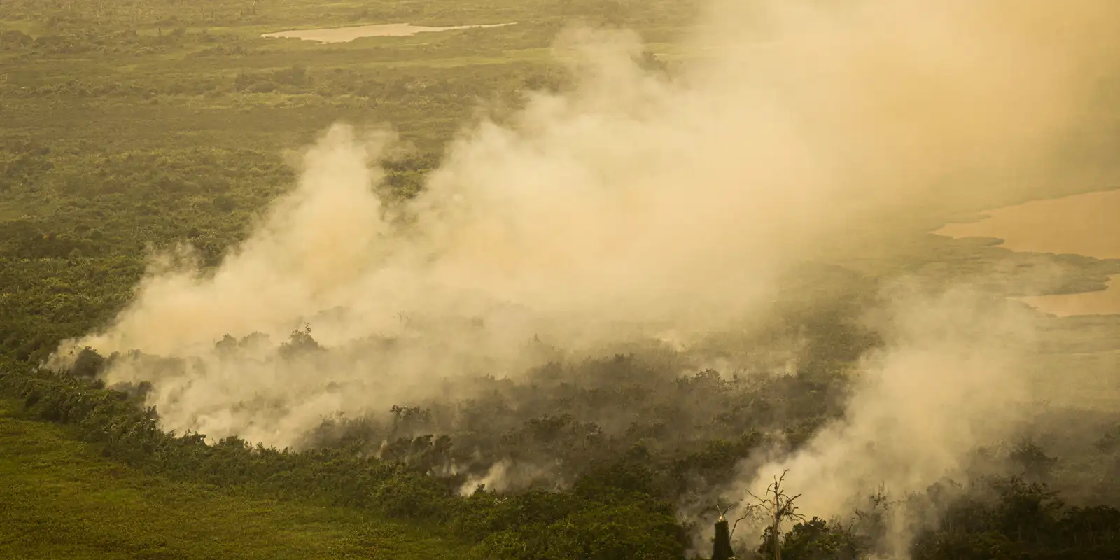 FAB faz quatro voos hoje para o Pantanal para combate às queimadas