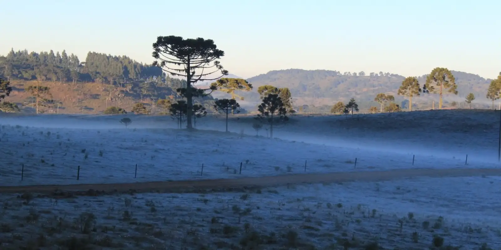 Massa de ar frio provoca queda de temperatura e geada no Sul do país