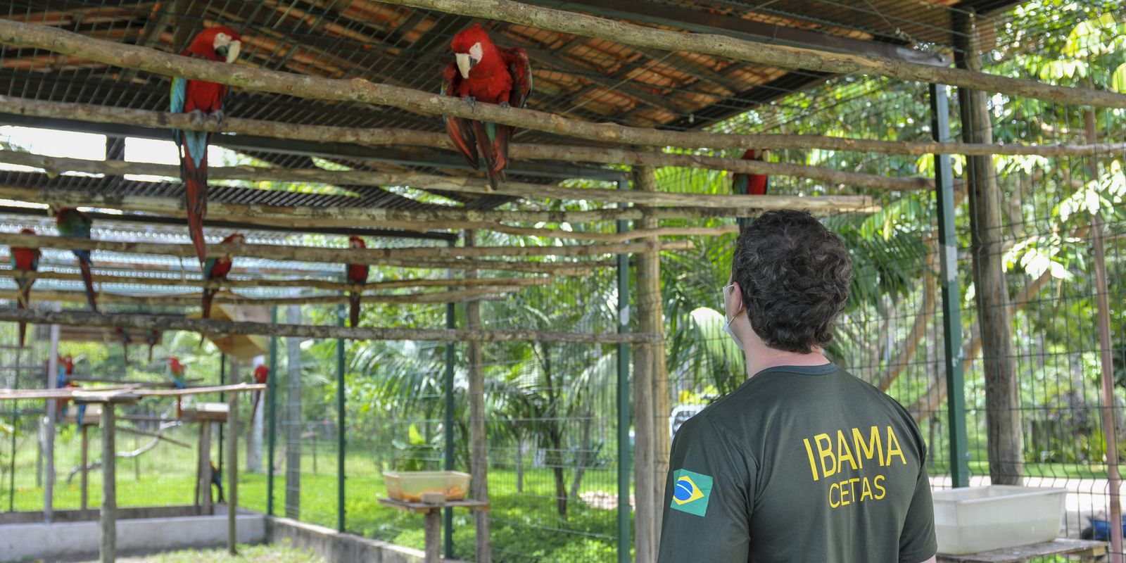 Servidores do meio ambiente decidem entrar em greve no dia 24